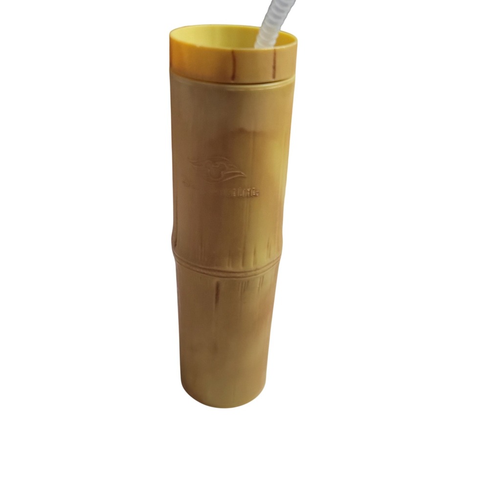 Disney Cruise Line Bamboo Tiki Tumbler Whirley DrinkWorks Souvenir Cup w/ Straw